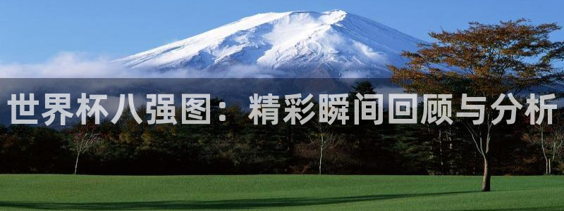 女足世界杯直播在线观看免费高清：世界杯八强图：精彩瞬间回顾与分析