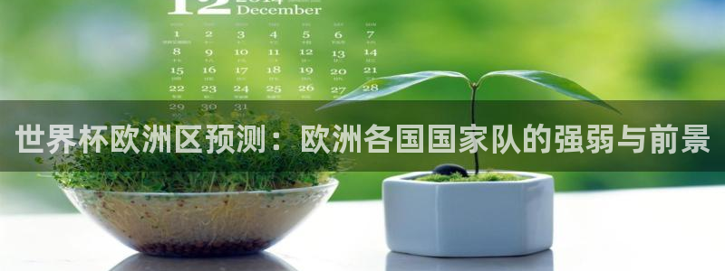 世界杯亚洲区预选赛：世界杯欧洲区预测：欧洲各国国家队的强弱与前景