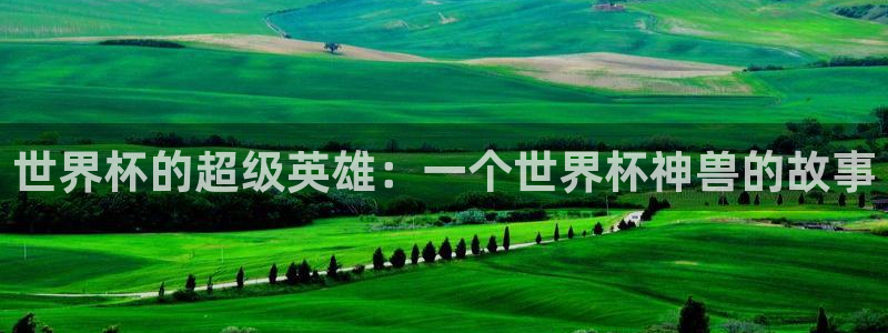2026世界杯亚洲预选赛赛程：世界杯的超级英雄：一个世界杯神兽的故事