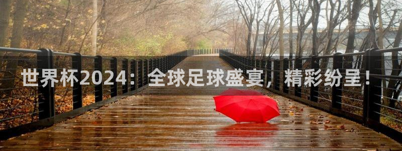 世界杯今年：世界杯2024：全球足球盛宴，精彩纷呈！