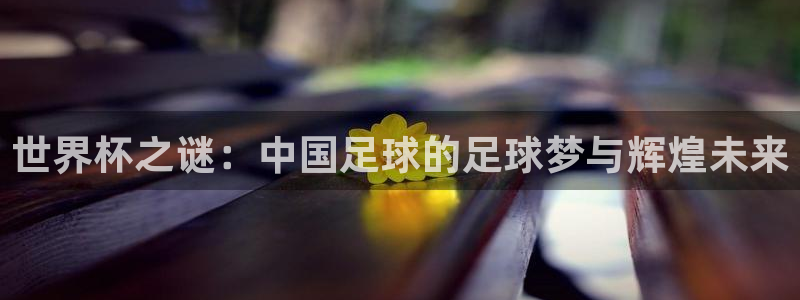 世界杯系列赛：世界杯之谜：中国足球的足球梦与辉煌未来